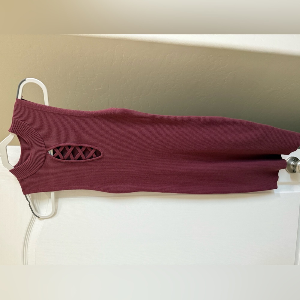 Elegant Burgundy Sleeveless Dress